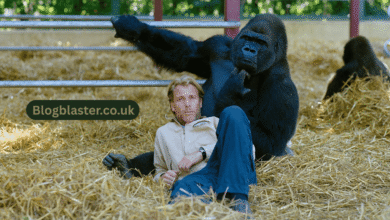 damian aspinall