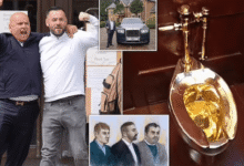 fred sines net worth