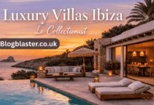 luxury villas ibiza le collectionist