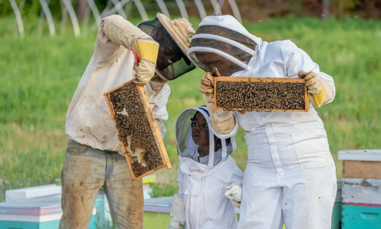 Beekeeping Supplies and Plastic Honey Containers A Complete Guide
