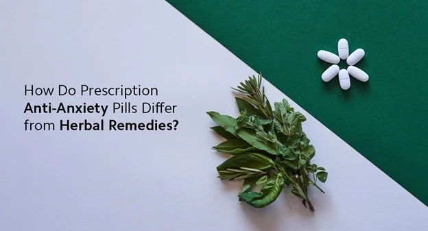 How Do Prescription Anti-Anxiety Pills Differ from Herbal Remedies
