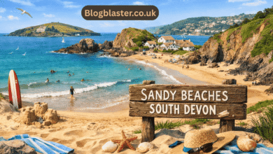 sandy beaches south devon