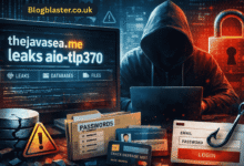 thejavasea.me leaks aio-tlp370