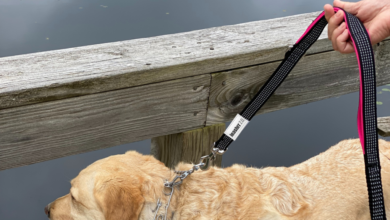 The Ultimate Control: Why Large Breeds Need a Dual Handle Leash