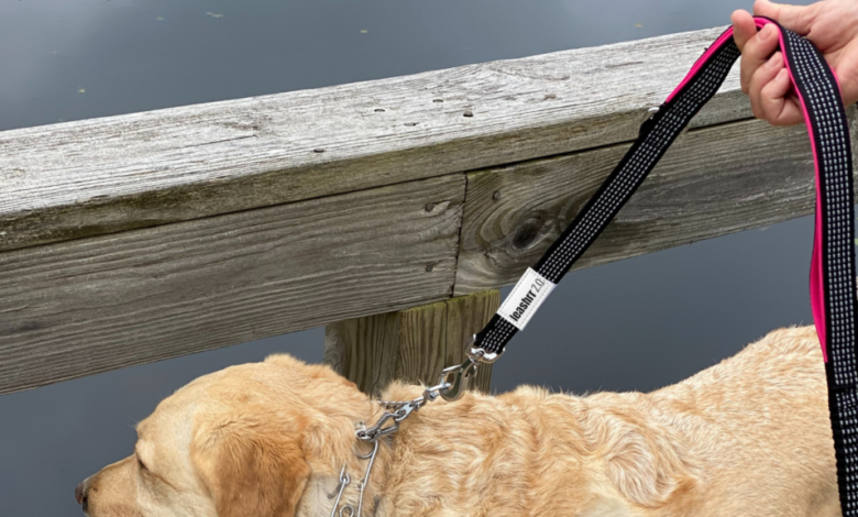 The Ultimate Control: Why Large Breeds Need a Dual Handle Leash