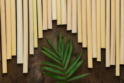 The Growing Impact of Bamboo Farming on Rural Areas