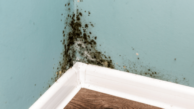 UK Housing Disrepair Claims: Legal Rights Every Tenant Should Know