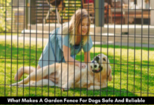 What Makes A Garden Fence For Dogs Safe And Reliable