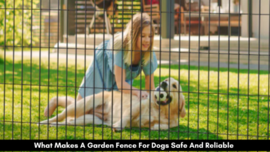 What Makes A Garden Fence For Dogs Safe And Reliable