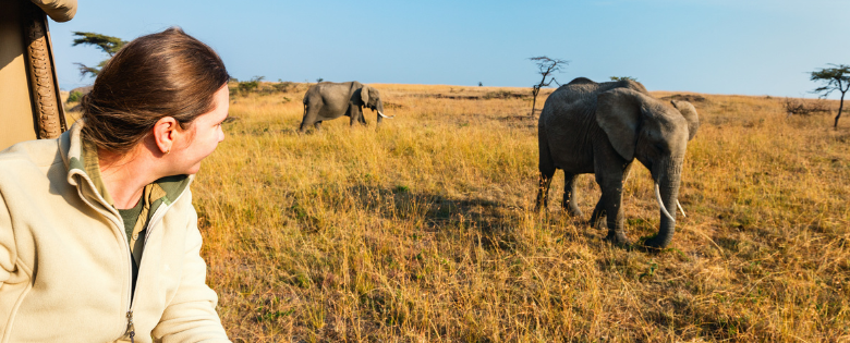 African Safari Tanzania and Mount Kilimanjaro Climbing Guide for Adventure Travelers