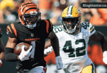 bengals vs green bay packers match player stats