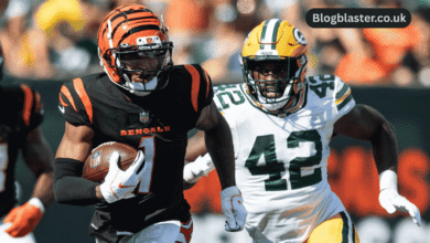 bengals vs green bay packers match player stats