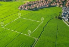 Land Promotion Companies