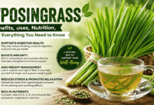 lyposingrass